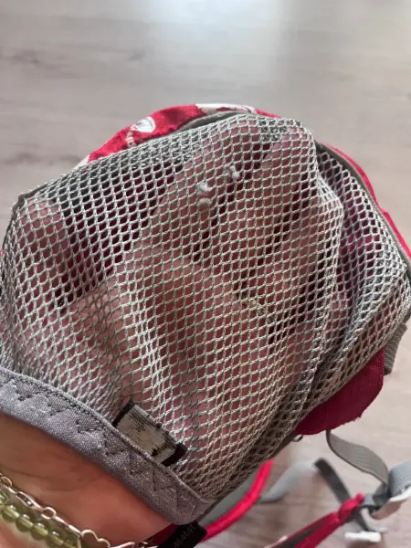 Dětský batoh Boll s motivem veverek 6