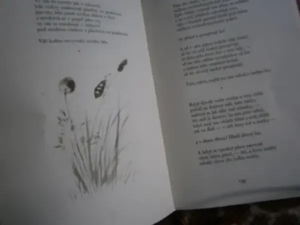 Básnický almanach 1954 a Milostný listář 6