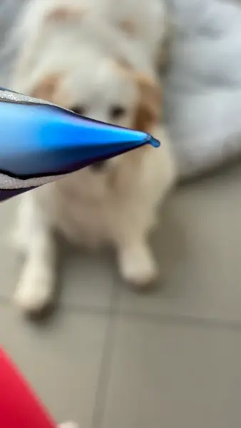 Modrá skleněná vánoční ozdoba ve tvaru špice 4