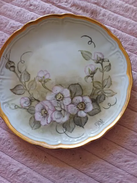 Porcelánový talíř Bavaria s motivem růží 2