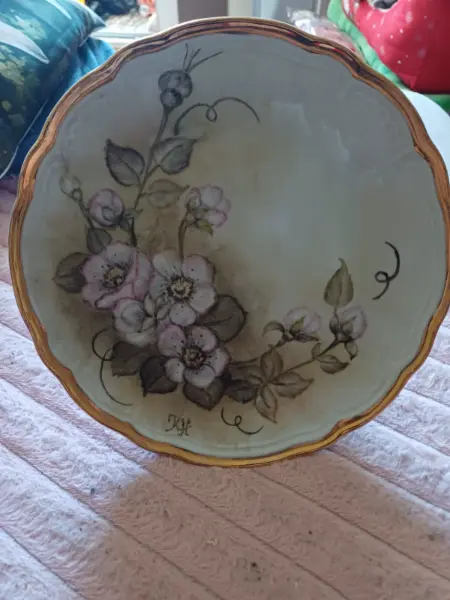 Porcelánový talíř Bavaria s motivem růží 4