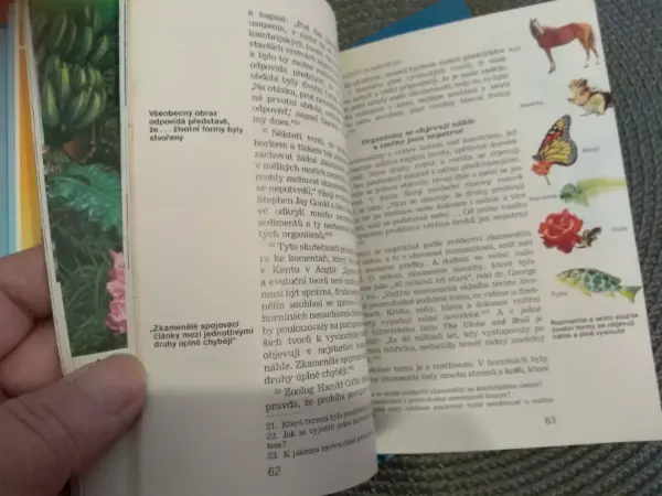 Jak vznikl život?
