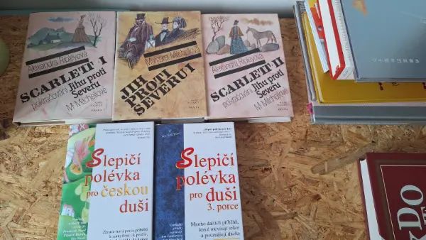 Sada knih: beletrie, naučná literatura a architektura 5