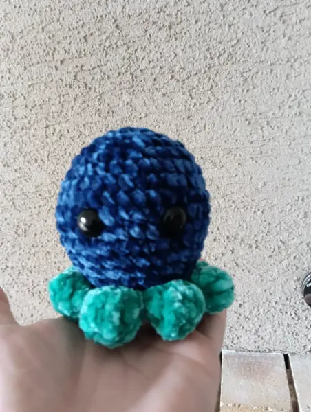 Háčkovaná chobotnice  2