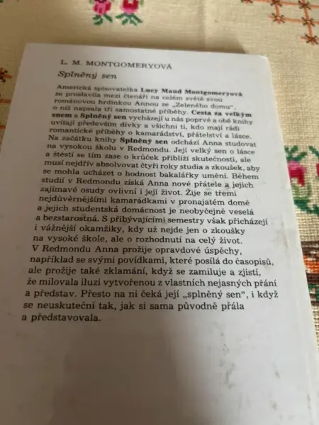 Kniha Splněný sen 2