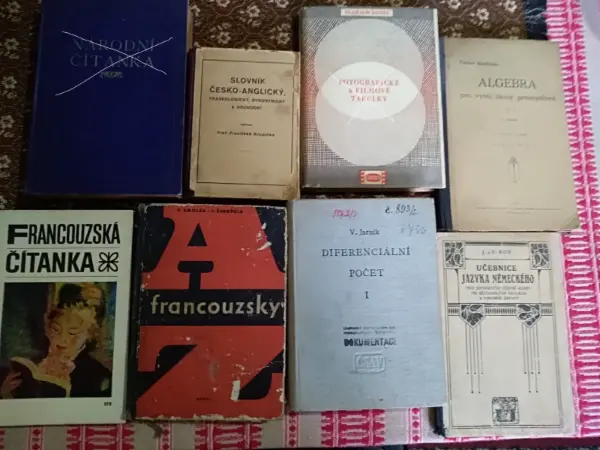 Literatura III pro střední školy - 2 knihy (SPN) 11