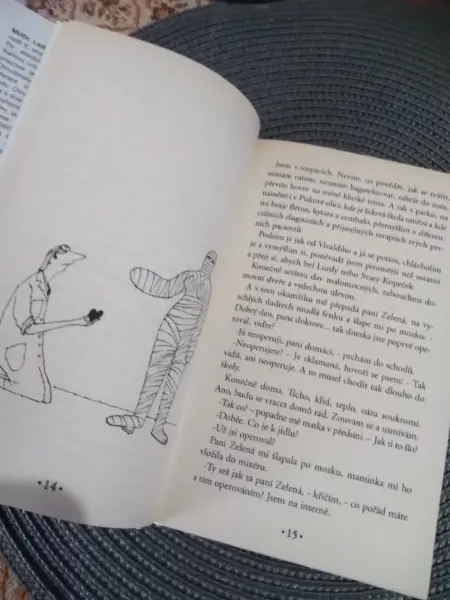 Knižní trilogie Jak básníci přicházejí o iluze 6