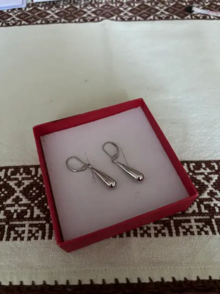 Elegantní stříbrné náušnice kapky z chirurgické oceli 