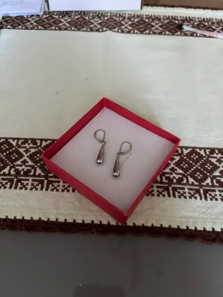 Elegantní stříbrné náušnice kapky z chirurgické oceli  3
