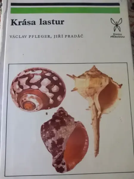 Krása lastur