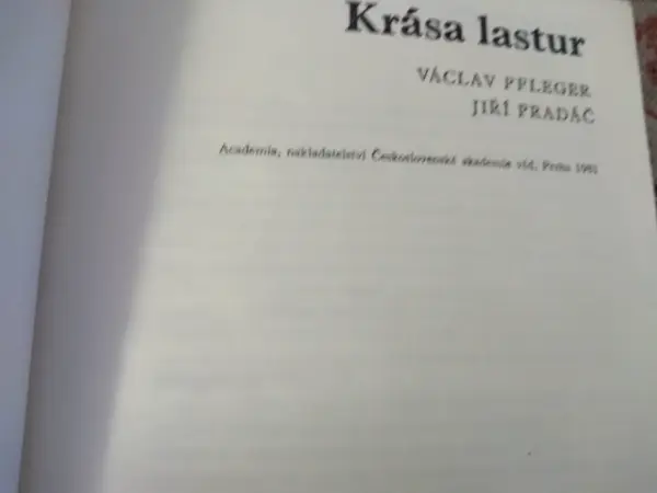 Krása lastur 2