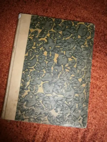 Kniha Deutsche Maler Poeten - F. Bruckmann A.G. 3