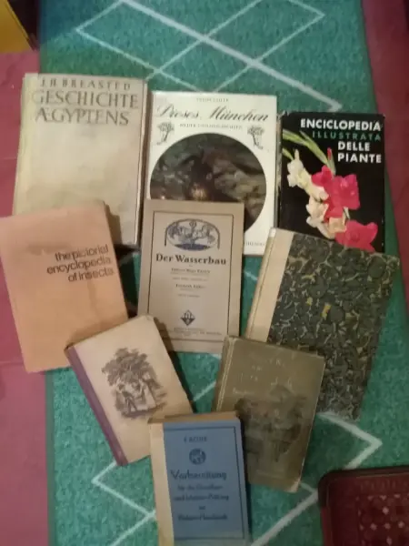 Kniha Deutsche Maler Poeten - F. Bruckmann A.G. 12