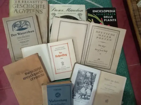 Kniha Deutsche Maler Poeten - F. Bruckmann A.G. 13