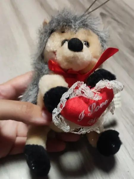 Plyšový ježek  2