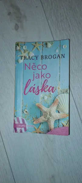 Tracy Brogan - Něco jako láska