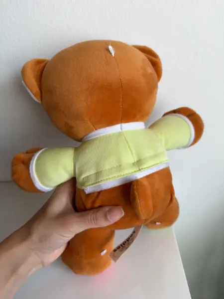 Teddies Medvěd Vojtík pohádkový česky mluvící 6