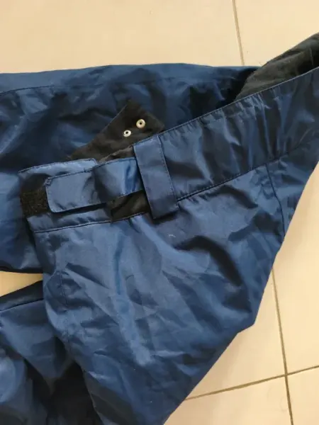 Dámské lyžařské kalhoty Crivit, modré 7