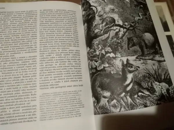 Darwinův původ druhů v ilustracích (Richard E. Leakey) 5