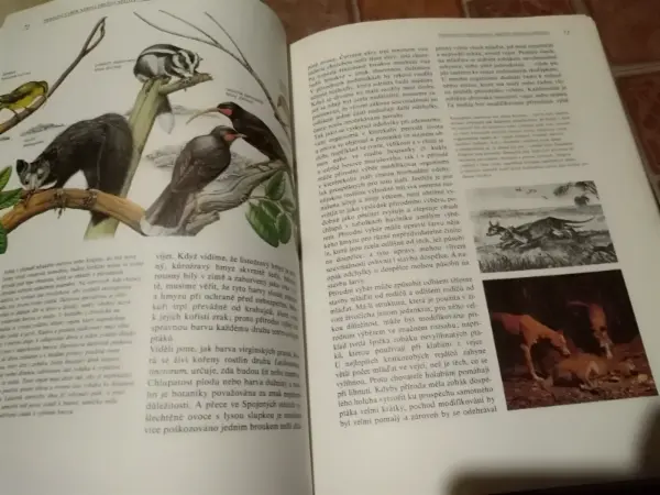 Darwinův původ druhů v ilustracích (Richard E. Leakey) 3