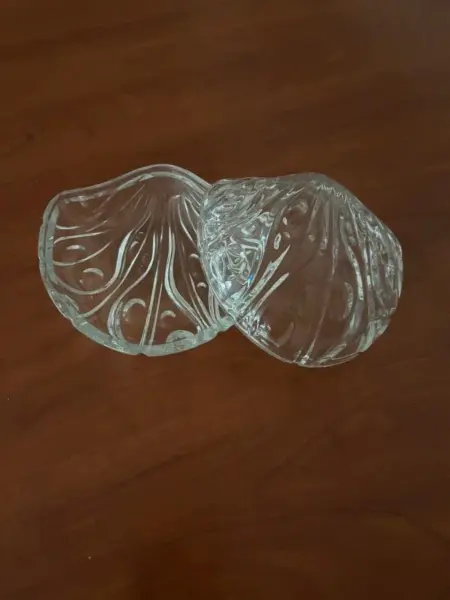 Mušle z tvrzeného skla zdobená