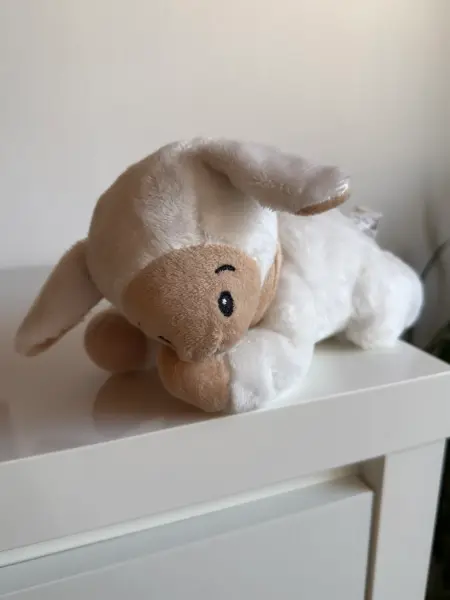 Dárkový set pro miminko - deka a plyšová hračka ovečka Sleep 5