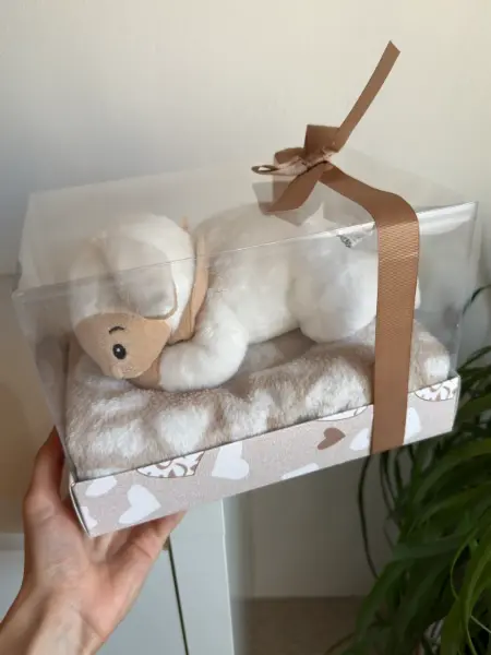 Dárkový set pro miminko - deka a plyšová hračka ovečka Sleep