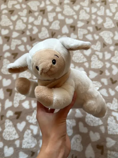 Dárkový set pro miminko - deka a plyšová hračka ovečka Sleep 8