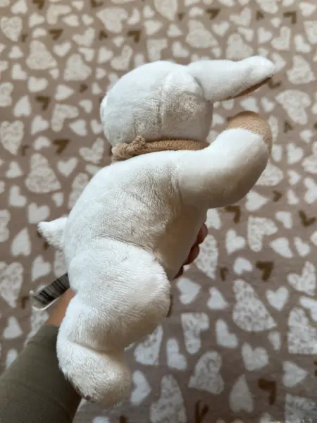 Dárkový set pro miminko - deka a plyšová hračka ovečka Sleep 6