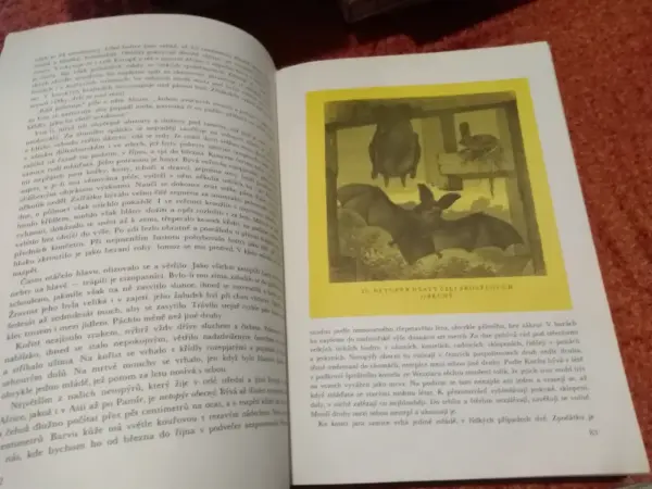 Kniha Život zvířat - Savci (Alfred Brehm) 5