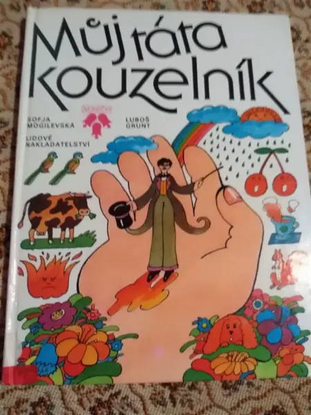 Dětská kniha