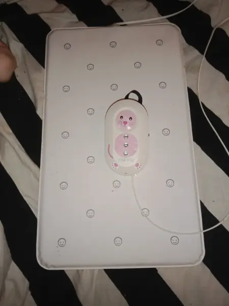 Monitor dechu Nanny