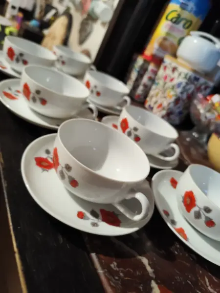 Sada porcelánových šálků s podšálky s motivem květin 5