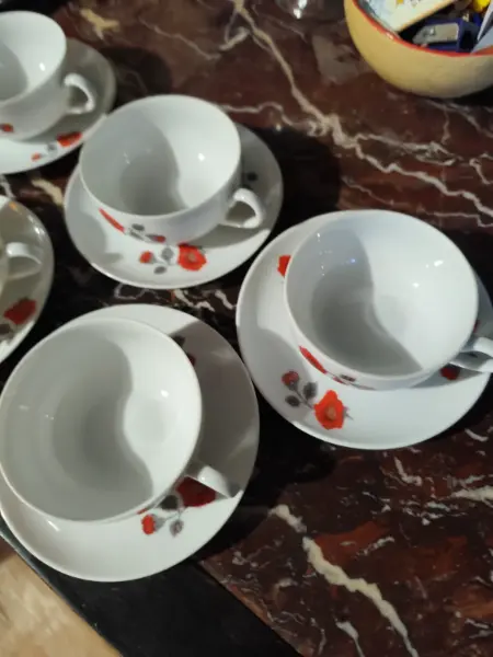 Sada porcelánových šálků s podšálky s motivem květin 7