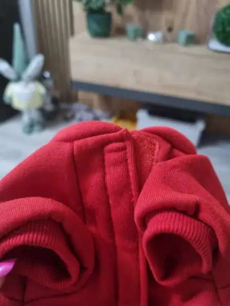 Červená mikina pro psa s nápisem I WOOF YOU! 3