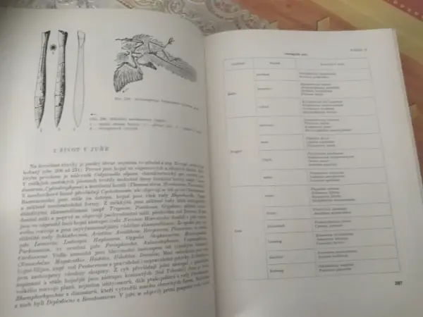 Geologická minulost Země - Dvořák, Růžička (1966) 5