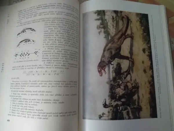 Geologická minulost Země - Dvořák, Růžička (1966) 10