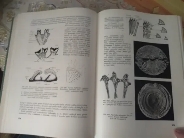 Geologická minulost Země - Dvořák, Růžička (1966) 9