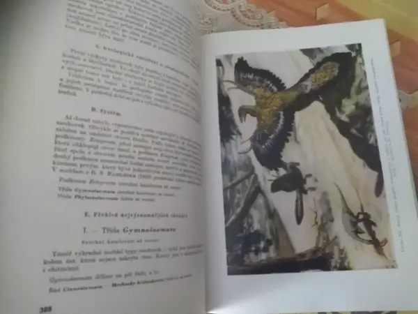Geologická minulost Země - Dvořák, Růžička (1966)