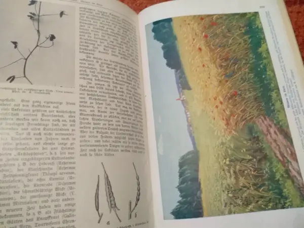 Kniha Kosmos - Handweiser für Naturfreunde (1933) 9