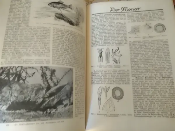 Kniha Kosmos - Handweiser für Naturfreunde (1933) 4