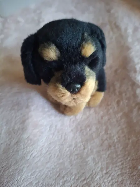 Plyšový pejsek rottweiler