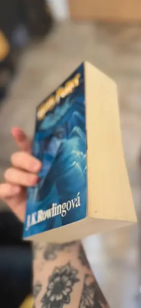 Harry Potter - kompletní sada 7 knih (česky) 8