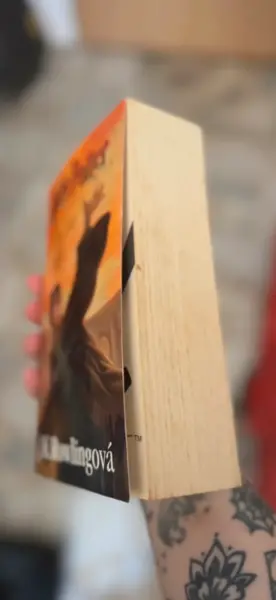 Harry Potter - kompletní sada 7 knih (česky) 11