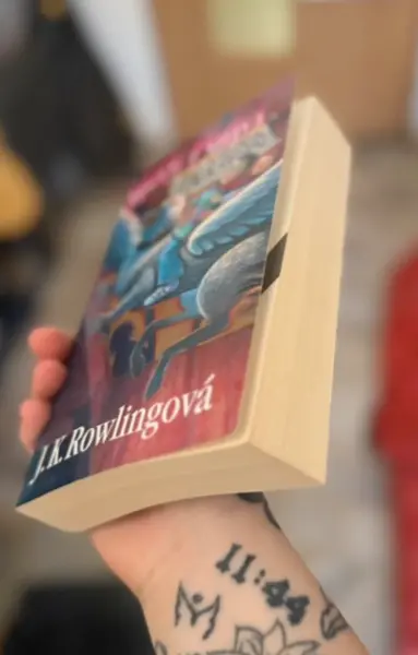 Harry Potter - kompletní sada 7 knih (česky) 6