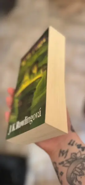 Harry Potter - kompletní sada 7 knih (česky) 9
