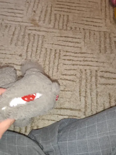 Plyšová koala ZAZU se zvukem 7