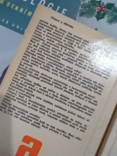 Kniha O vojenské službě, lásce a přátelství 2
