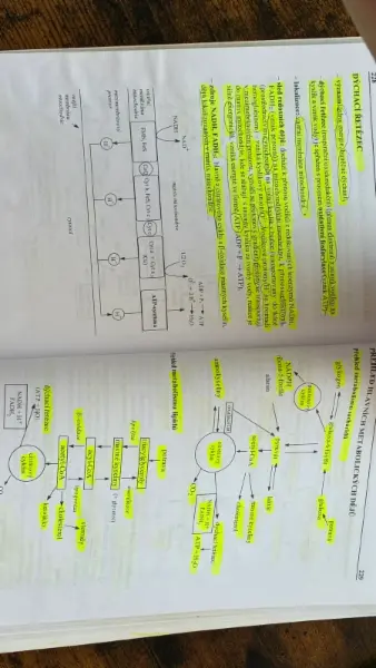 Chemie pro každého - Rychlokurz chemie 5