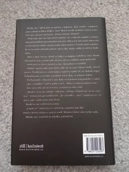 Vyrovnaný účet - Dick Francis a Felix Francis 2